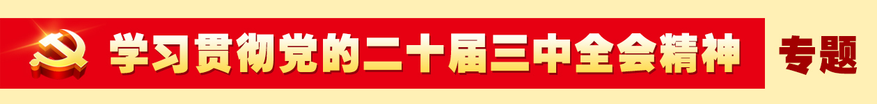 學(xué)習(xí)貫徹黨的二十屆三中全會精神